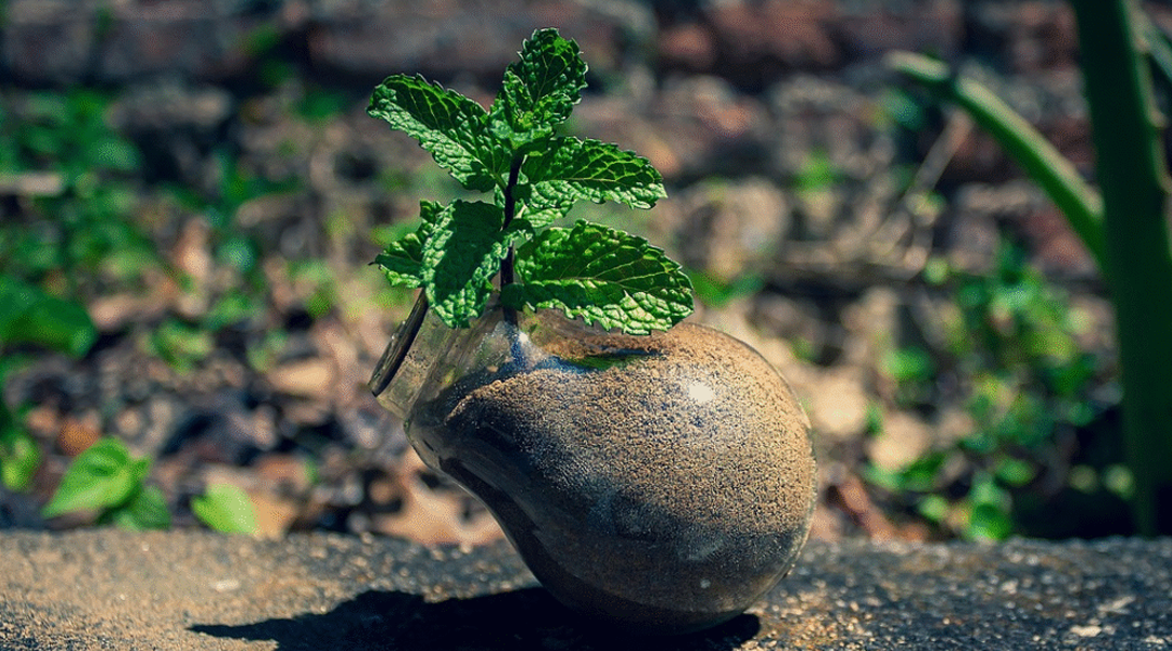 How Clean Energy Is Transforming Our Daily Lives for the Better