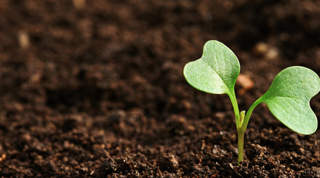 Powering a Greener Future: How Clean Energy Can Save the Earth